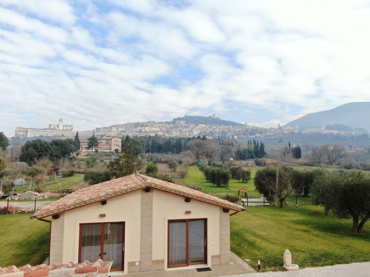 Il Granaio Di Rossetti Elisabetta Hotel Assisi Exterior photo